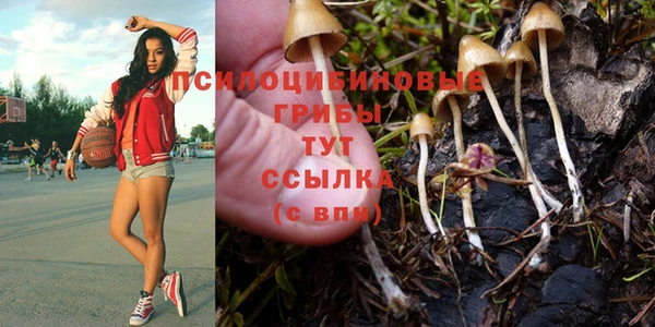мескалин Мегион