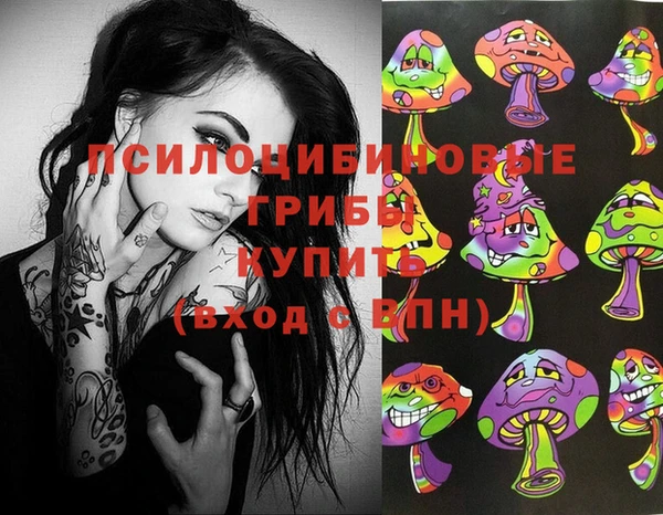 бутират Медногорск