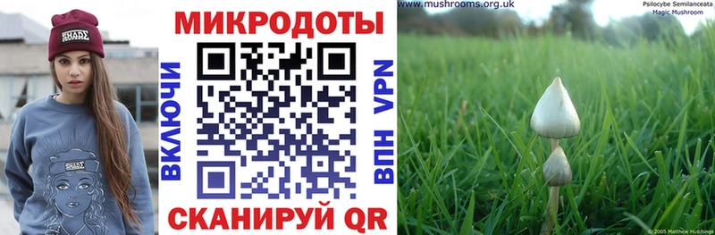 Галлюциногенные грибы мухоморы  где можно купить   Краснослободск 